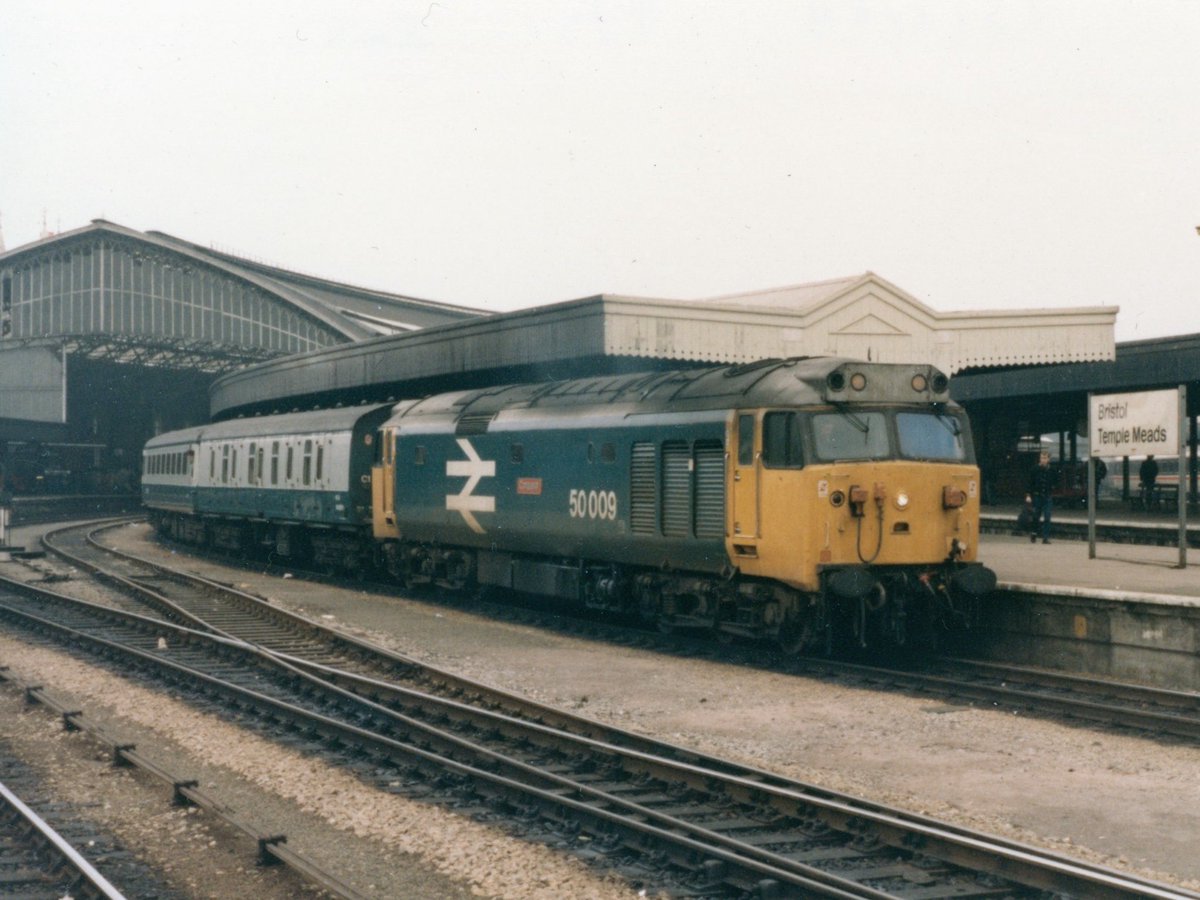 Nick the Pirate tweet media