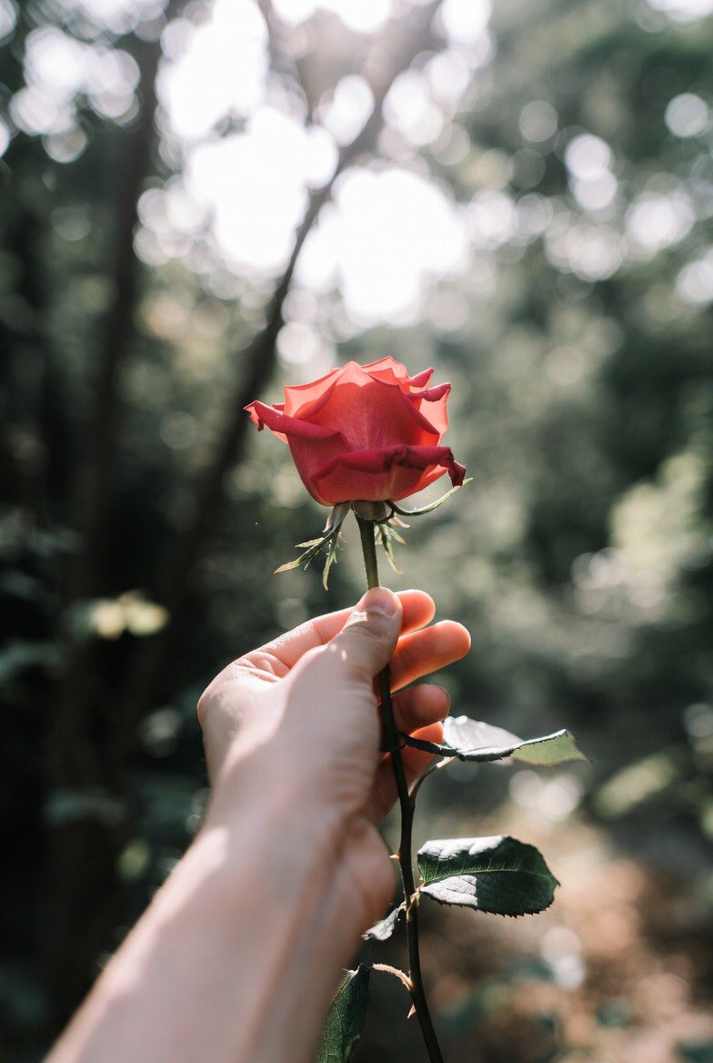 EllaSuperEmpire❎ tweet media