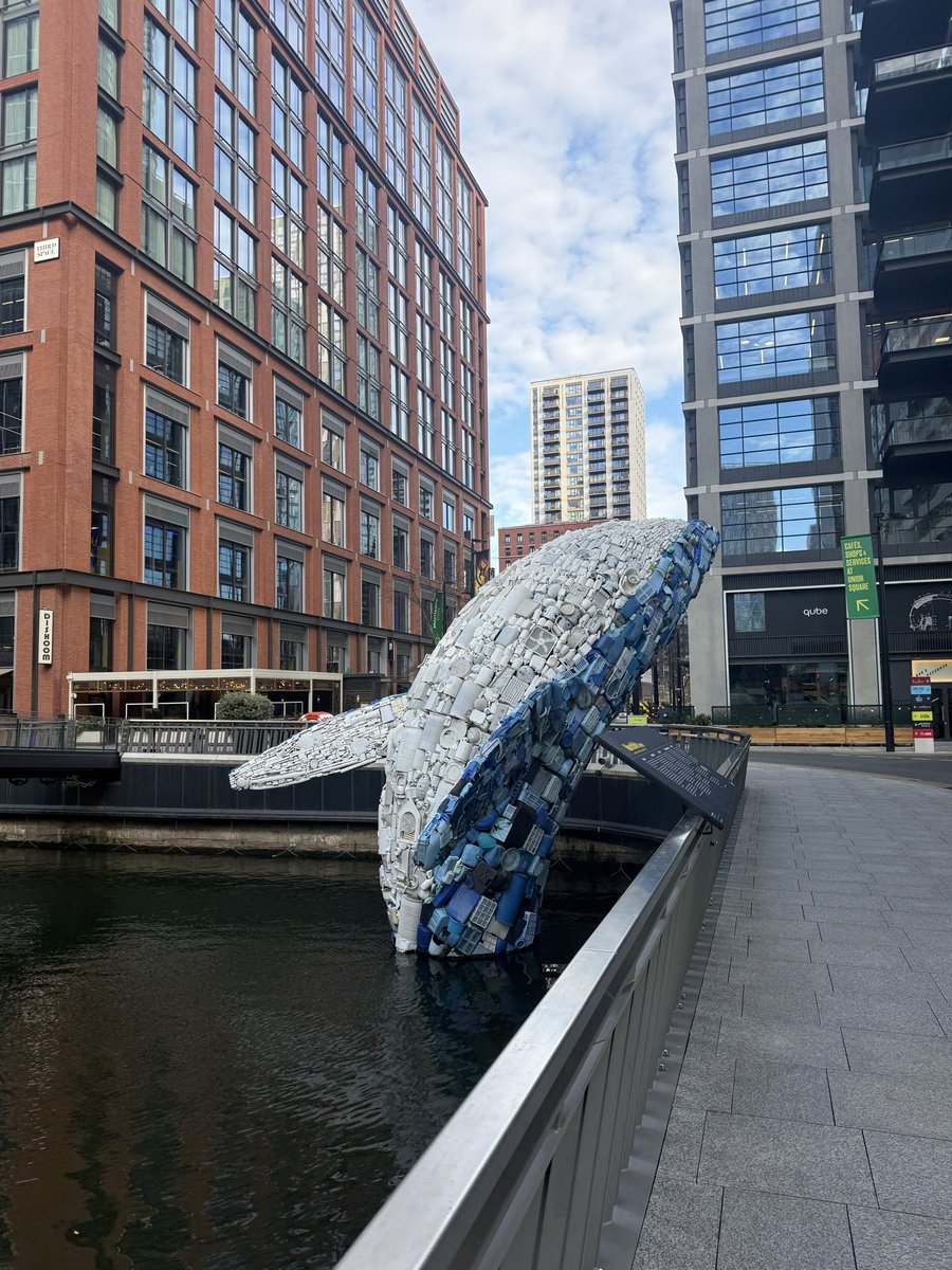 Alexander tweet media