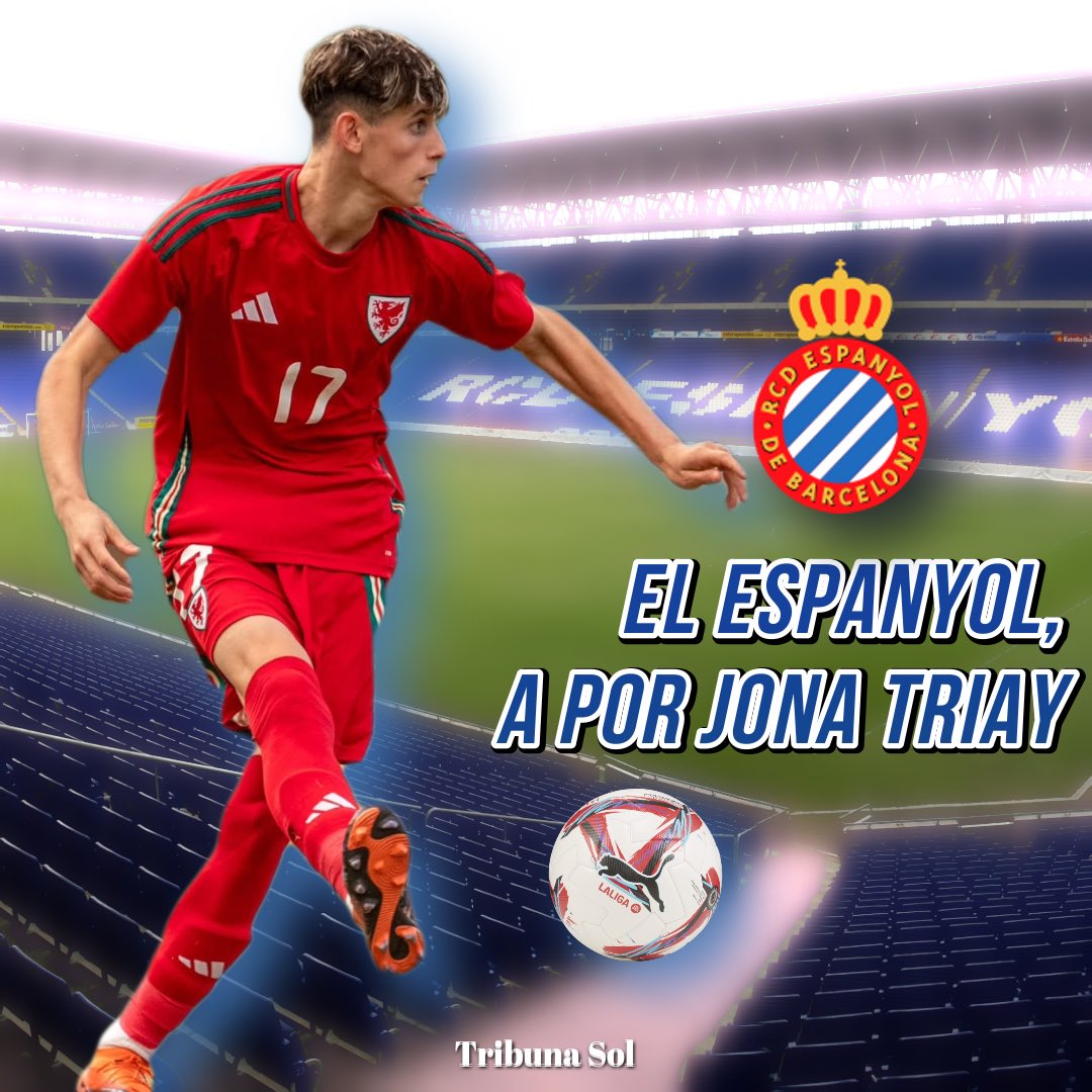 Tribuna Sol tweet media