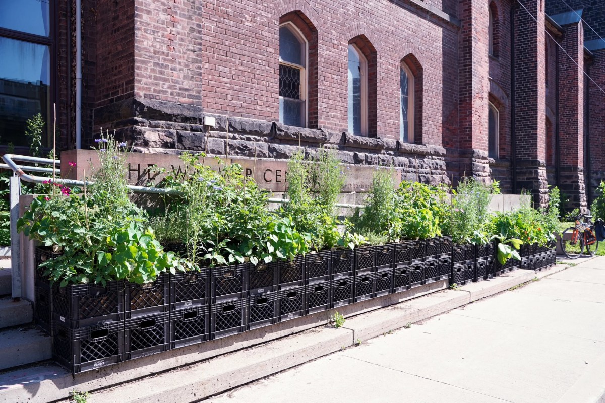 SBayview tweet media