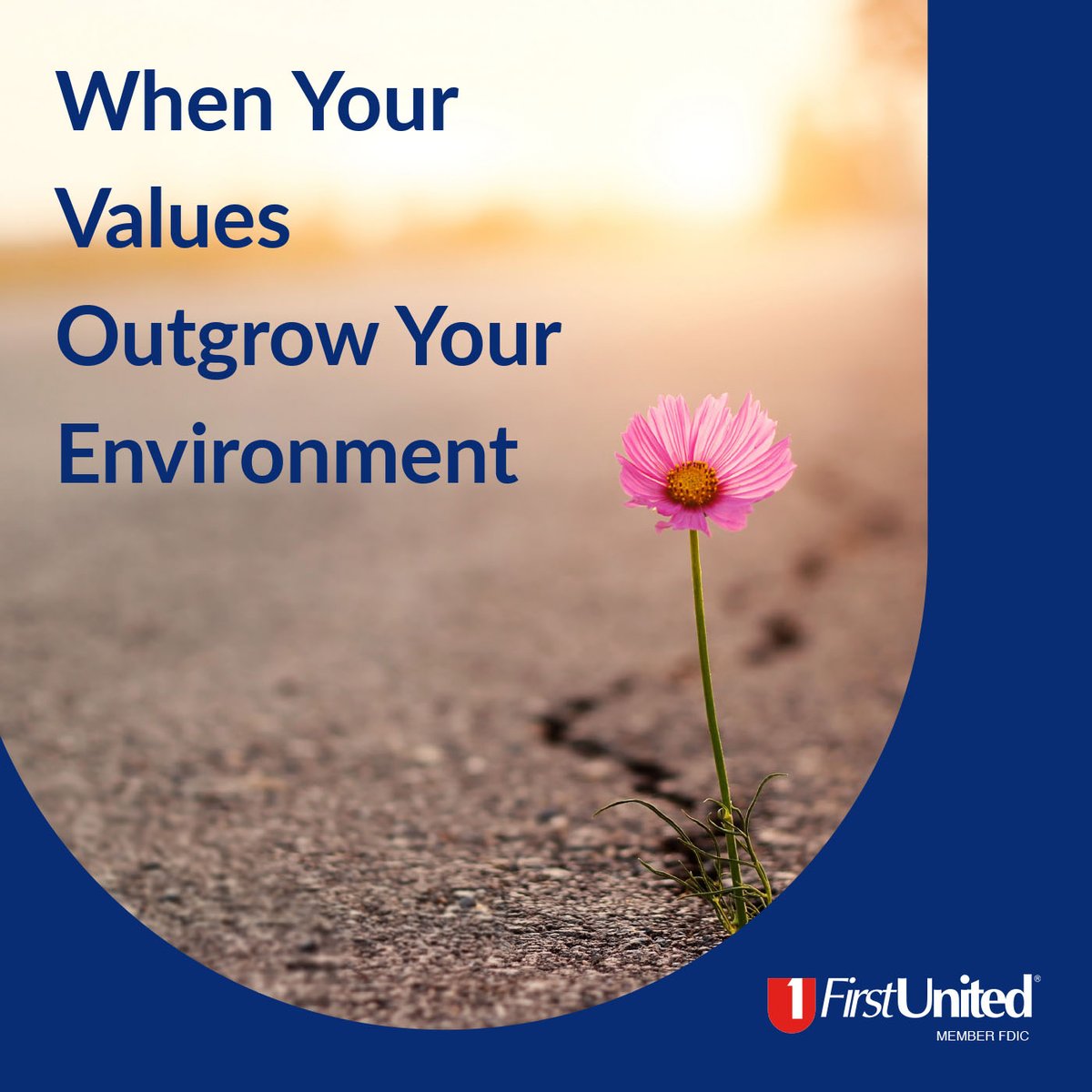 First United Bank® tweet media