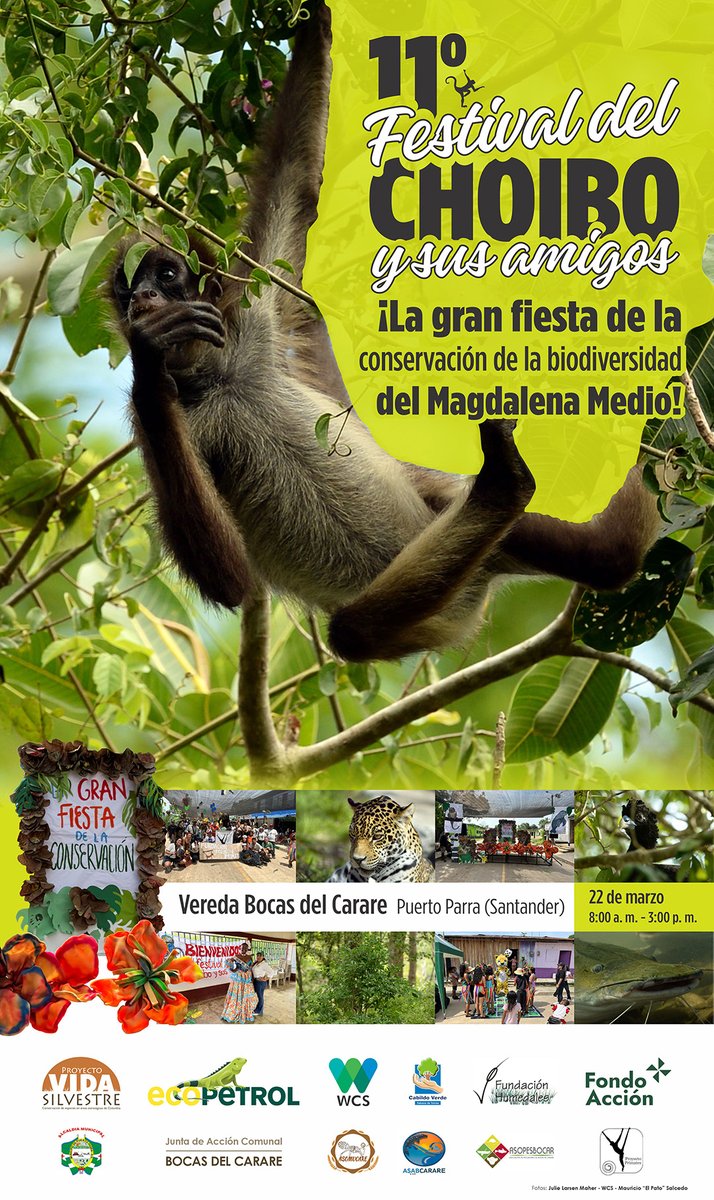 WCS Colombia 💚 tweet media