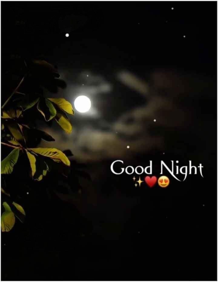 Good Night 💤 

Praying your night is calm, quiet, and perfectly blessed.
