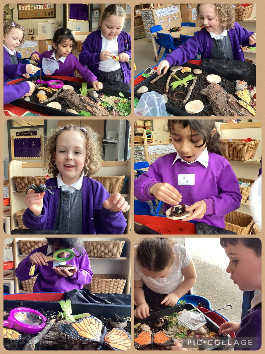 Springwell Reception tweet media