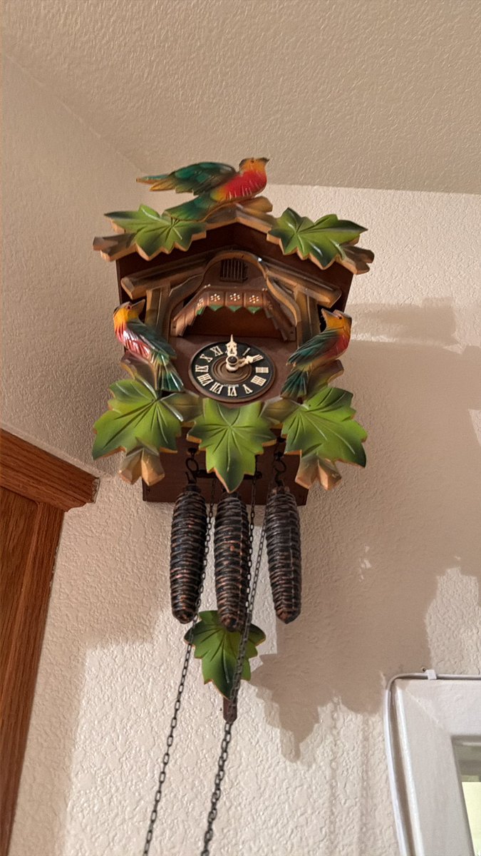 ggermg's tweet photo. @Mr_Husky1 Cuckoo clock weights https://t.co/sWmoT0TOmC