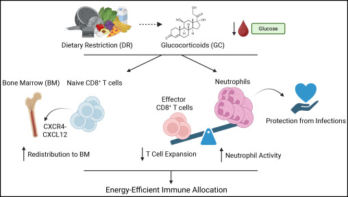 Waggoner Lab tweet media