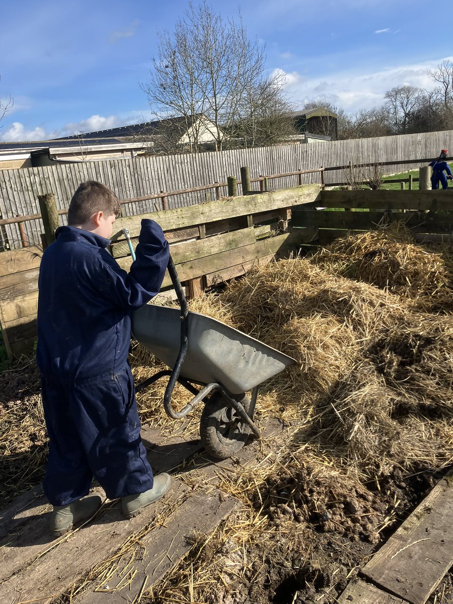 Meadow View Farm Sch tweet media