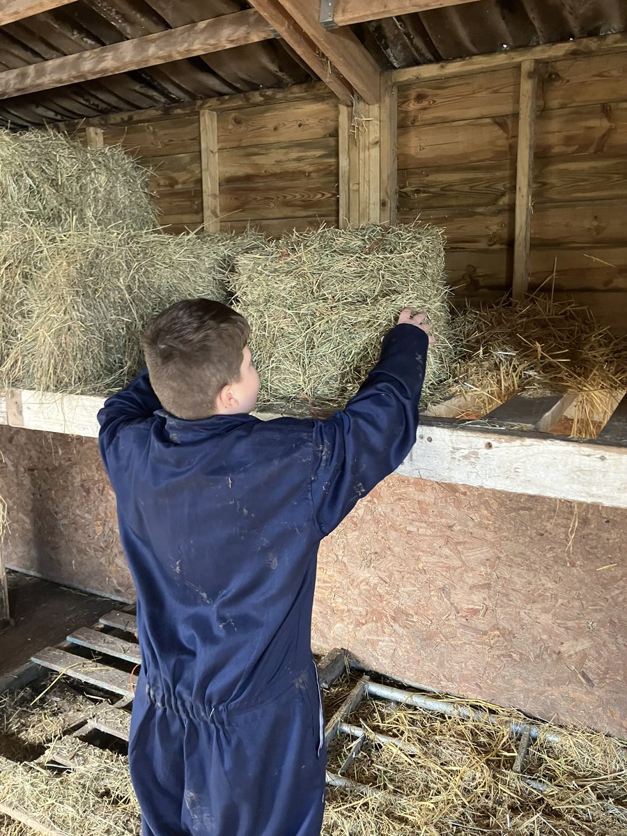 Meadow View Farm Sch tweet media