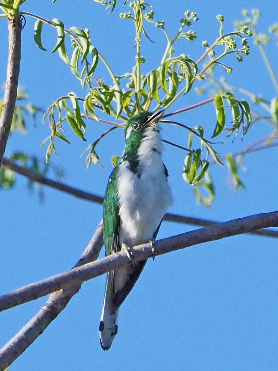 Brian E.Carruthers tweet media