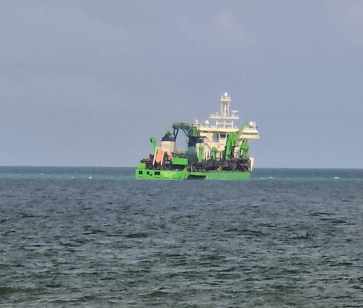 Amparo Peris Salas tweet media