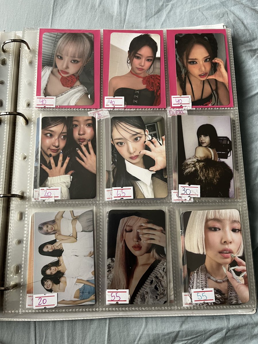 clara 🐥 tweet media