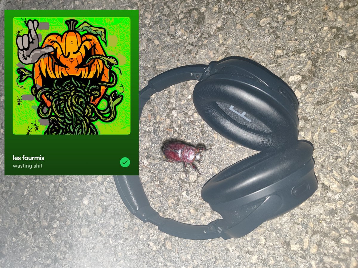 shacofou tweet media