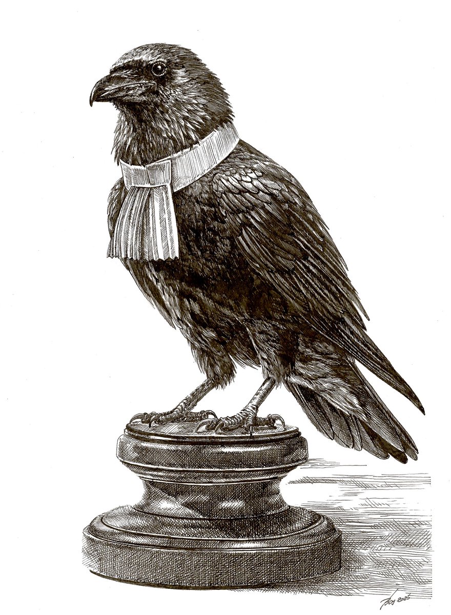 Bas Geeraets 🦉 tweet media