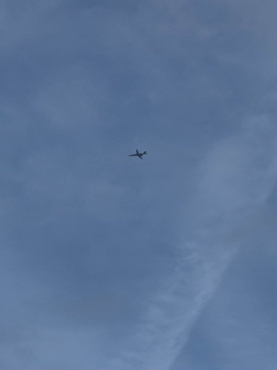 Nick Webb tweet media