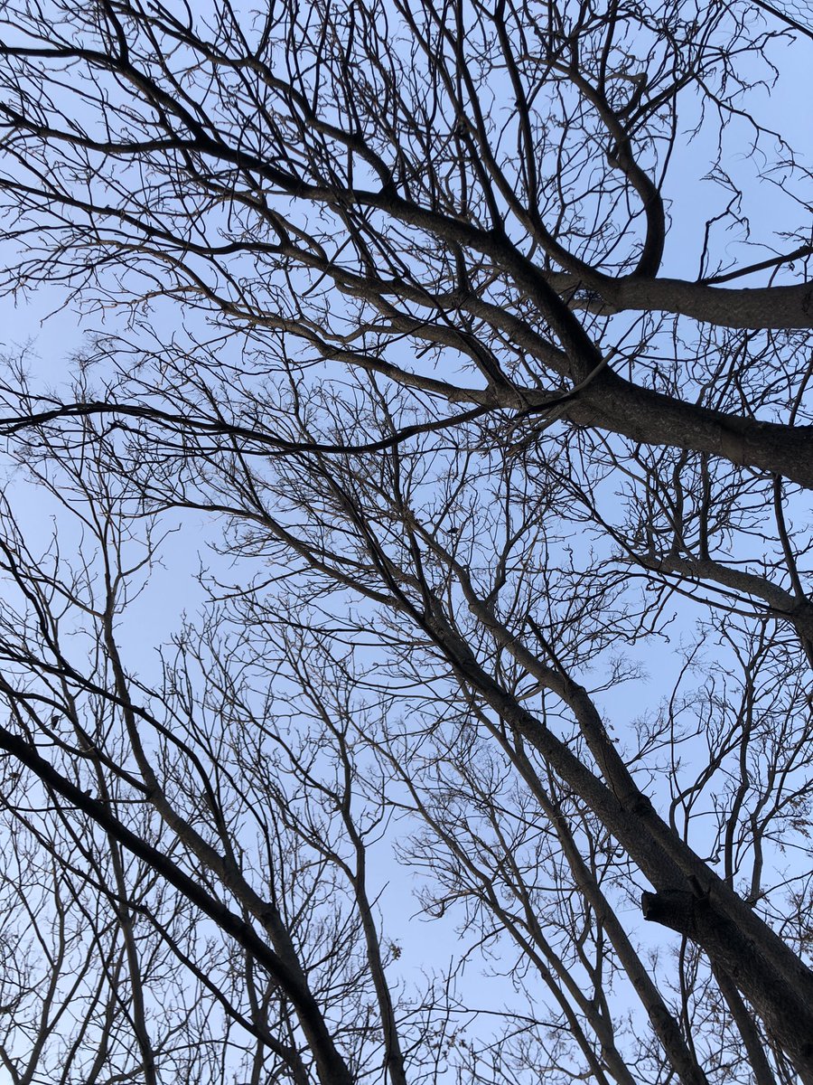 Canan Tuğba ÖZ tweet media