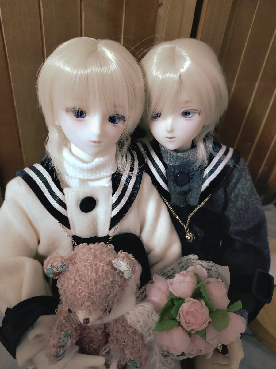 癒されるなあ…