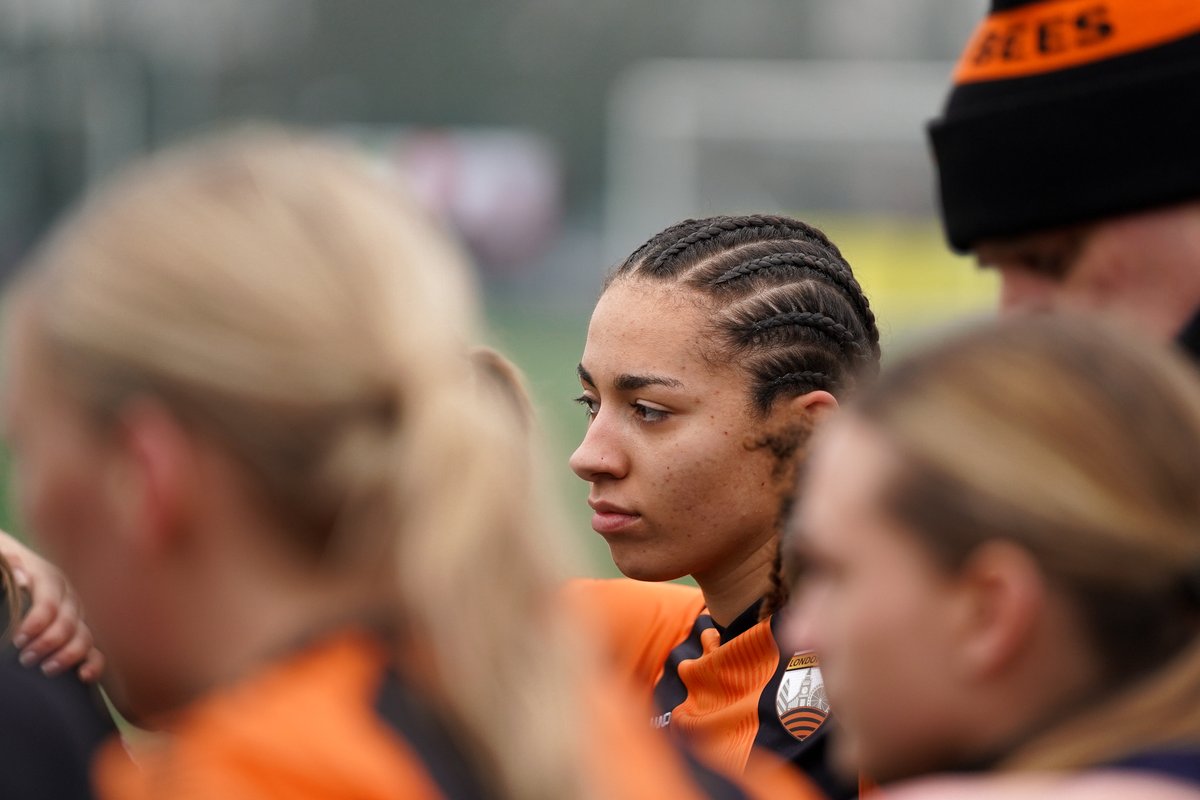 London Bees 🐝 tweet media