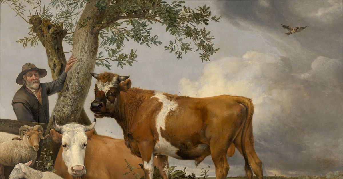 Robbert Leusink tweet media