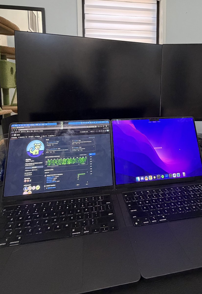 Rigidity 🌱 tweet media