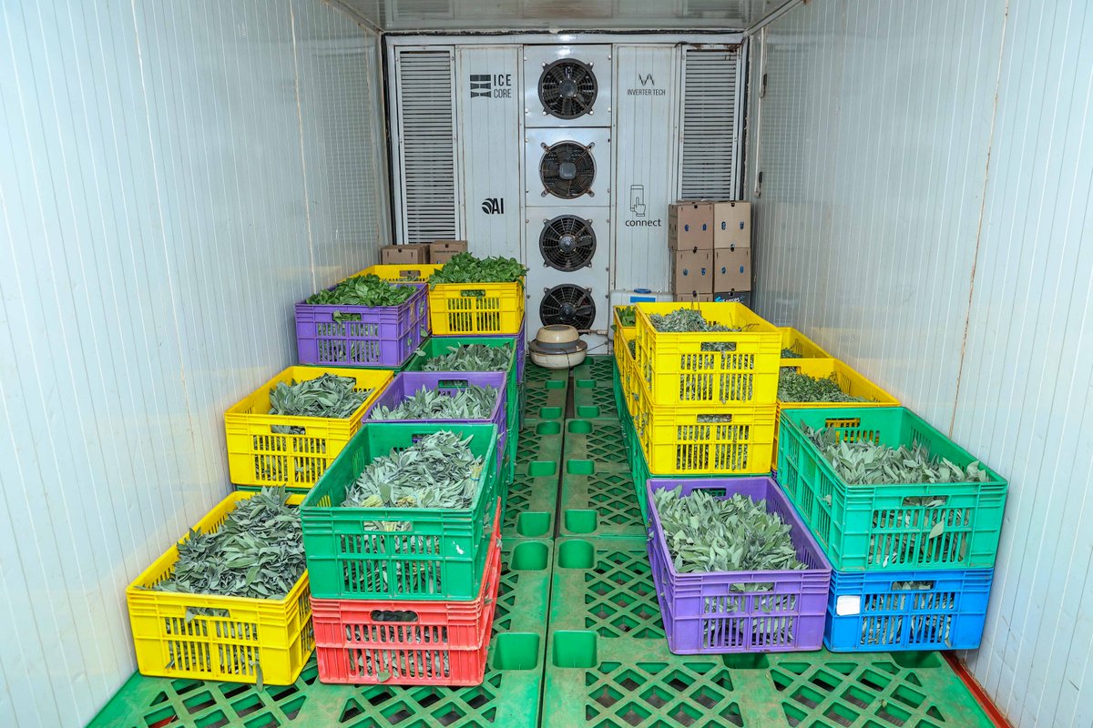 The Rockefeller Foundation tweet media