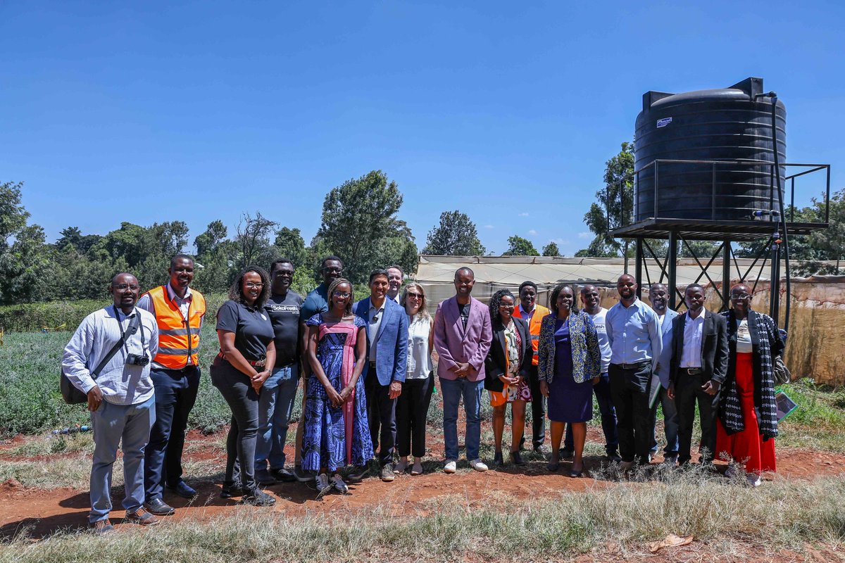 The Rockefeller Foundation tweet media