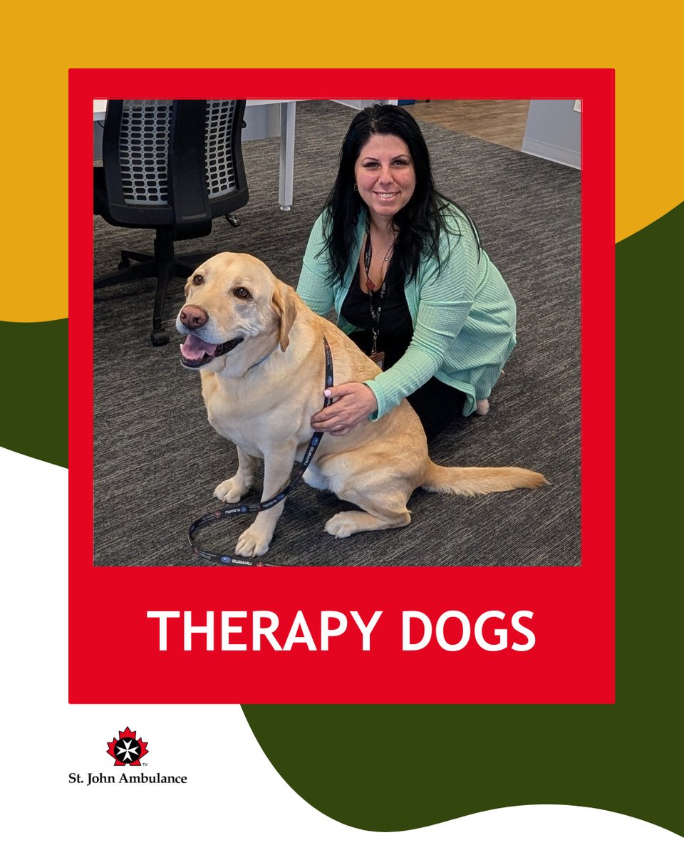 YorkRegionCAS tweet media