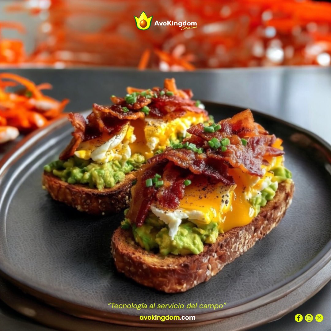 Avokingdom_S's tweet image. En #Avokingdom sabemos que un buen desayuno es clave para iniciar el día con energía, incluir aguacate aporta grasas saludables, vitaminas y nutrientes que ayudan a mantener el equilibrio y vitalidad desde la mañana. 🥑⚡️

#AvoLovers #KeepItSimple #BuenProvecho #AgTech