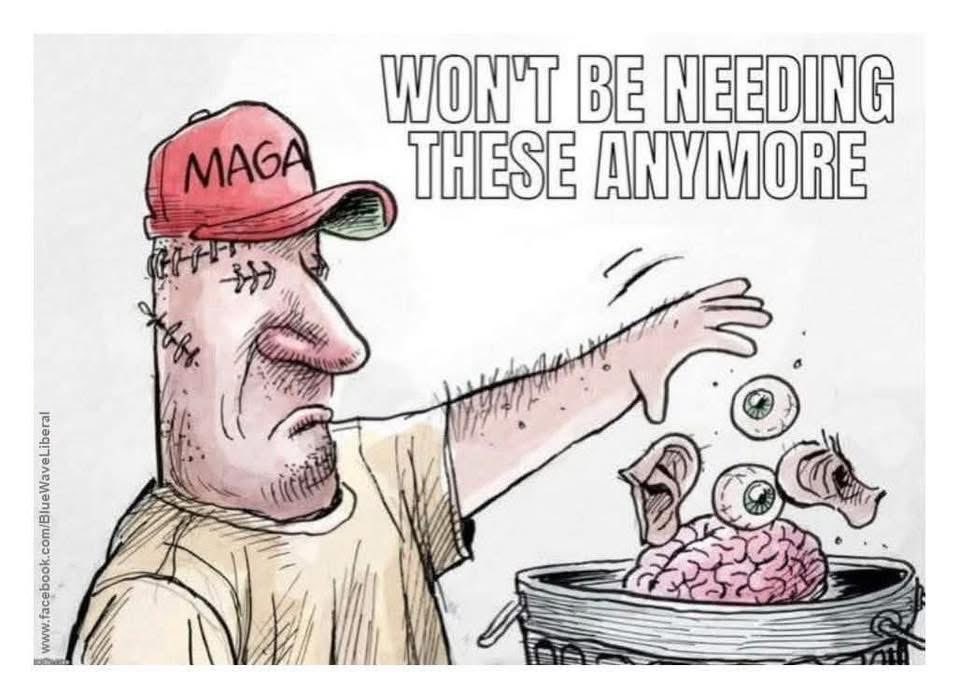 Mattr A Fact tweet media