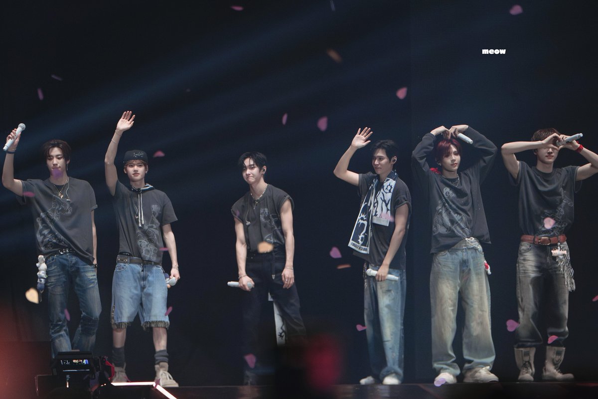 meow🐈‍⬛ tweet media