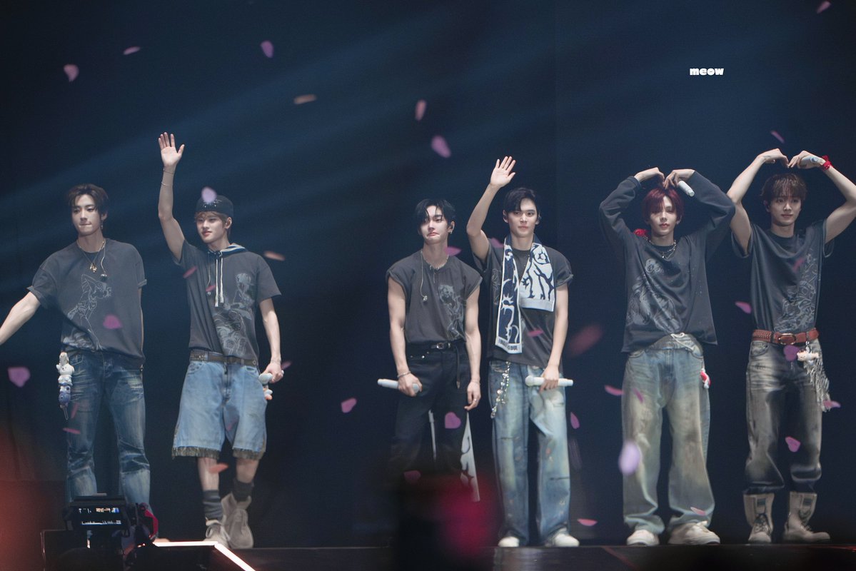 meow🐈‍⬛ tweet media