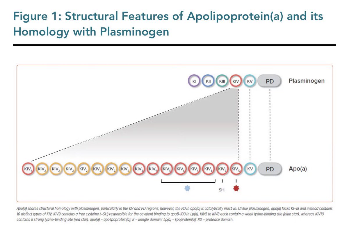 Dr. Martha Gulati ♥️🫀❤️‍🩹🇨🇦 tweet media