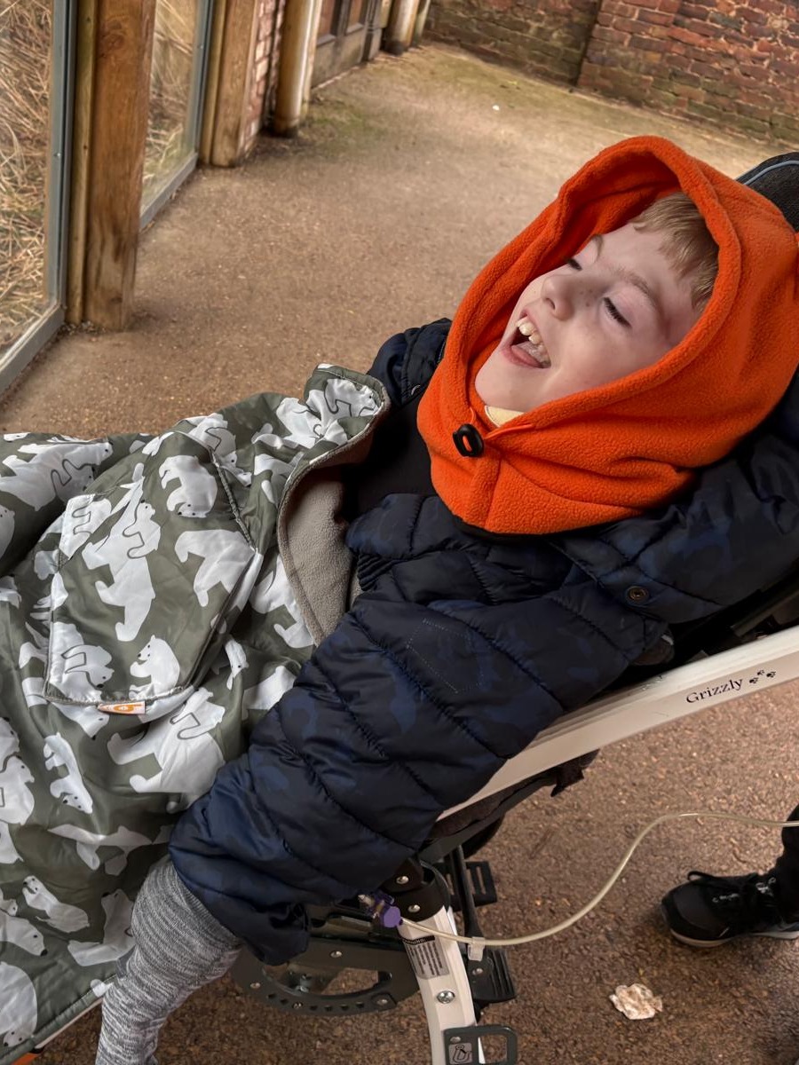 Rays of Sunshine tweet media