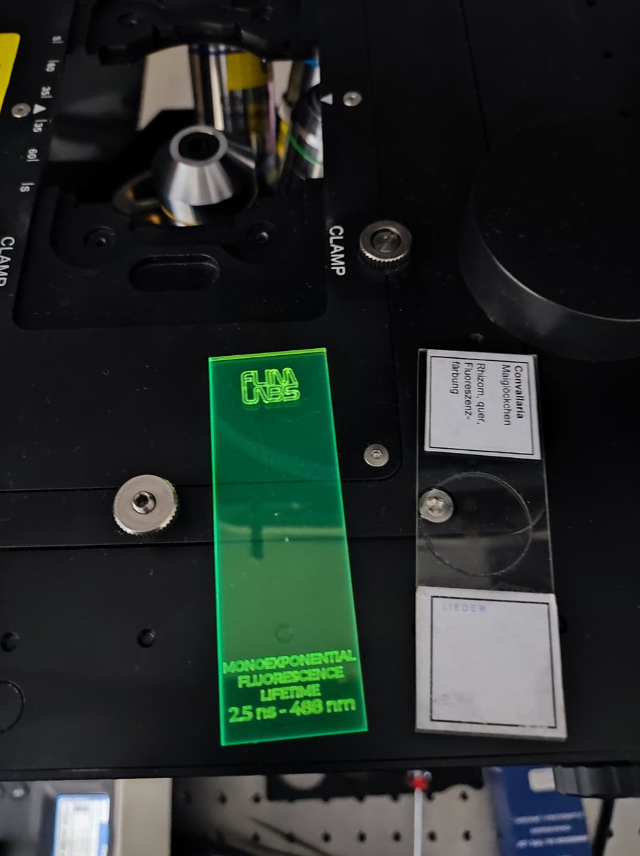 FLIM LABS tweet media