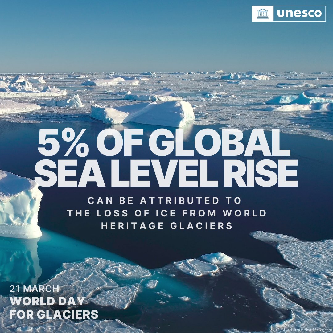 UNEP Cartagena Convention & Caribbean Enviro Prog. tweet media