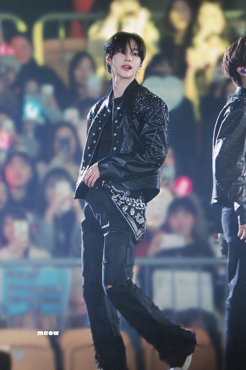 meow🐈‍⬛ tweet media