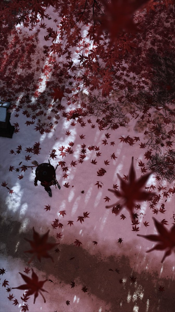 Sesha_CR7📸 tweet media