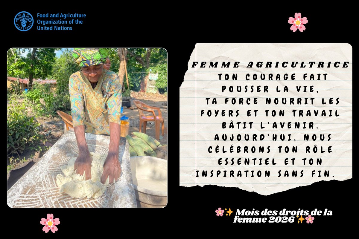 FAO en République du Congo tweet media