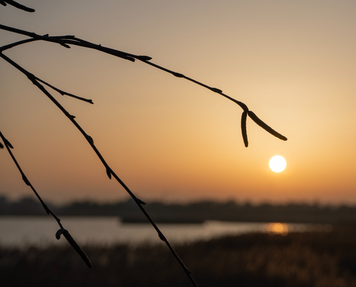 DorteHedengran's tweet image. What a beautiful evening by the lagoon. The sun doesn't set until 6:05 PM - so beautiful ☀️

#Denmark #March10th #NaturePhotography #photooftheday #TuesdayVibes #TuesdayMood #sunset  

📸Dorte Hedengran