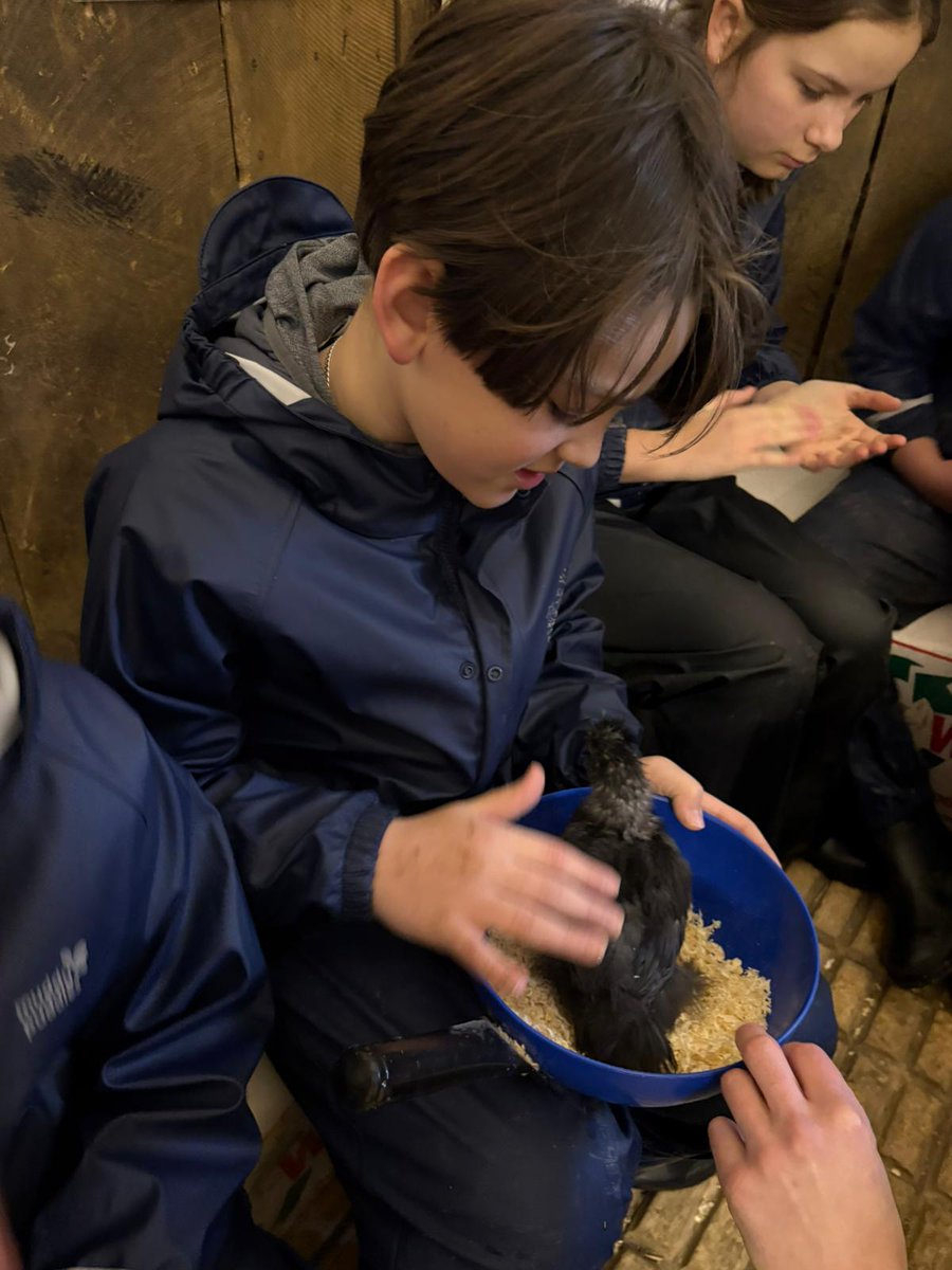 St George's CE Primary School tweet media