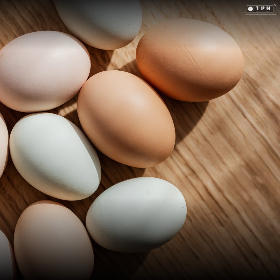 🌐 ᴛʜᴇᴘᴏʟᴀɴᴅɴᴇᴡs 🌐 tweet media