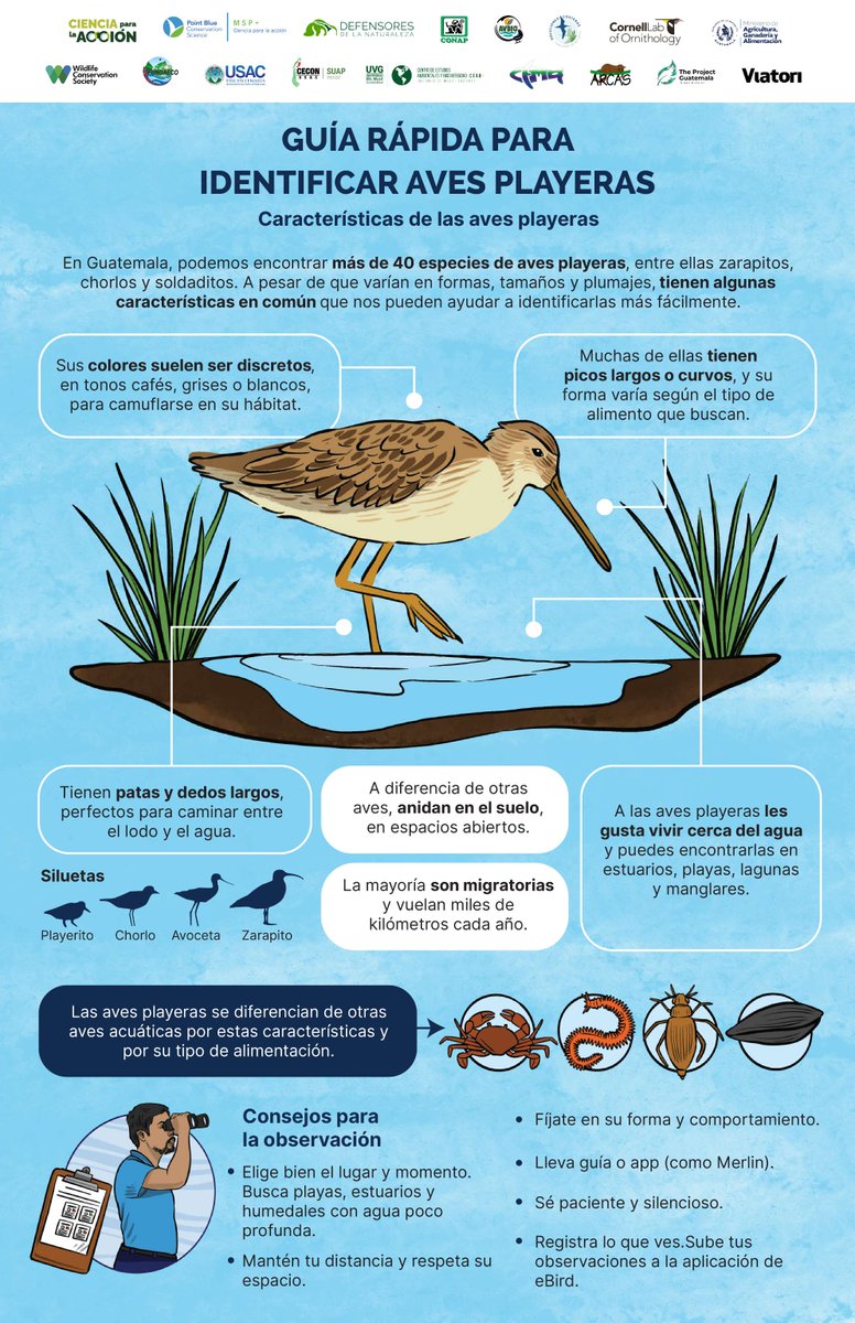 Defensores de la Naturaleza tweet media