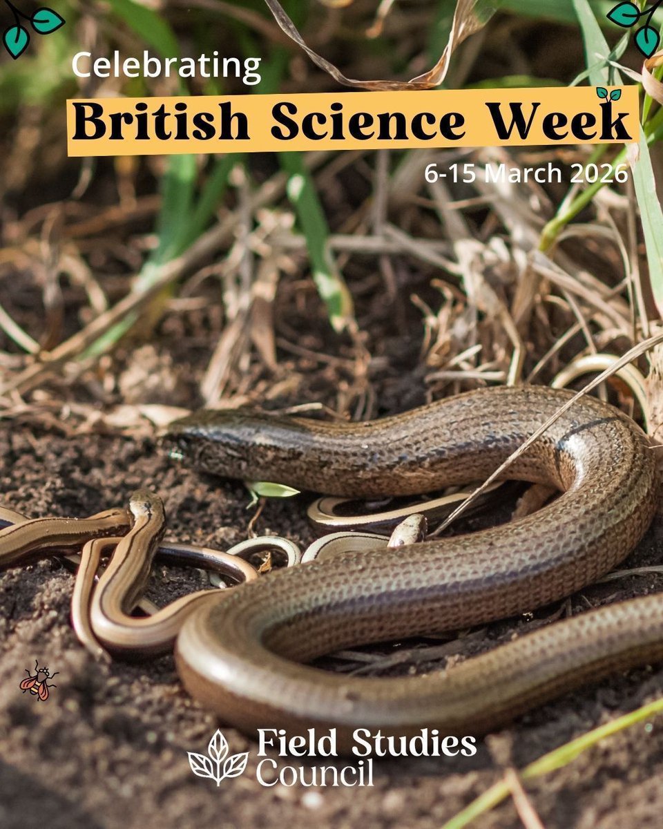 Field Studies Council tweet media