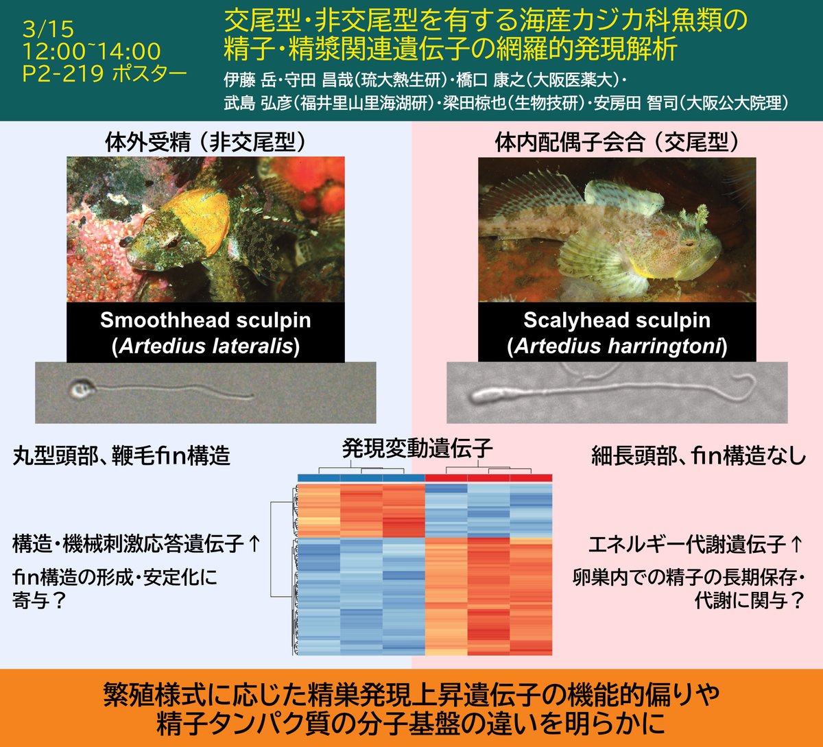 Laboratory of Animal Sociology, OMU, JPN tweet media