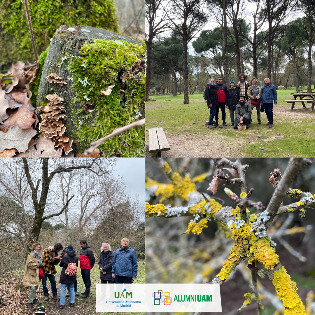 Alumni UAM tweet media