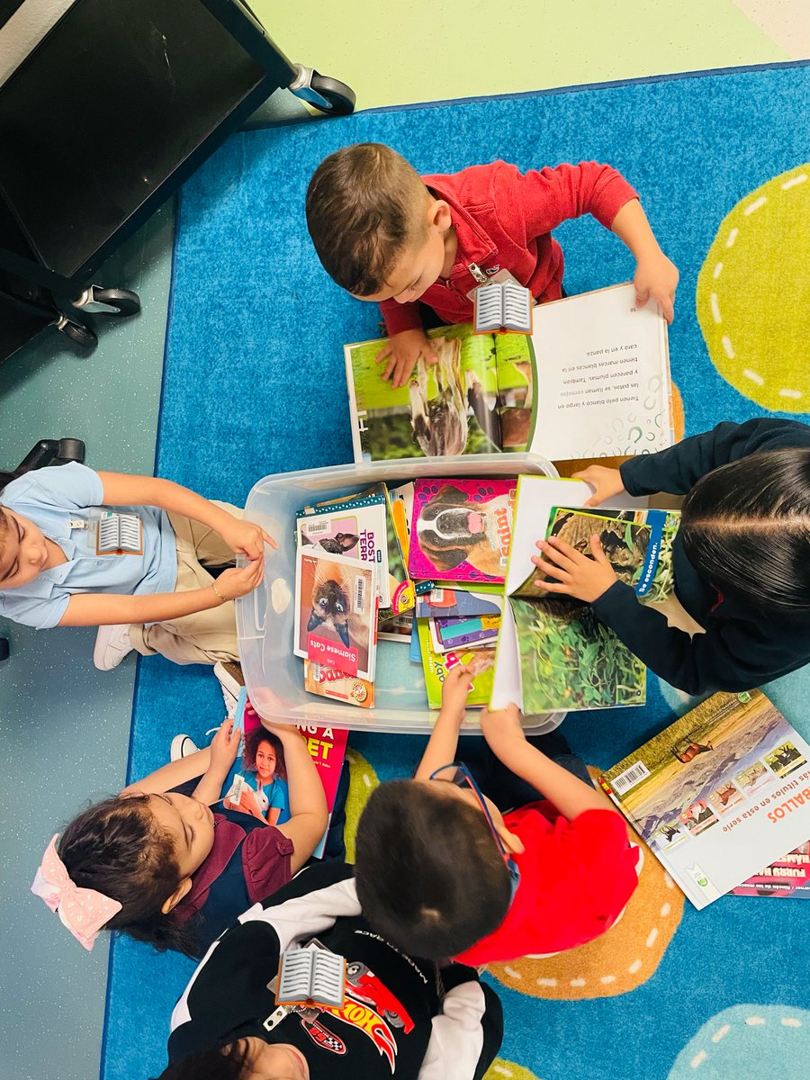 IISD Libraries tweet media