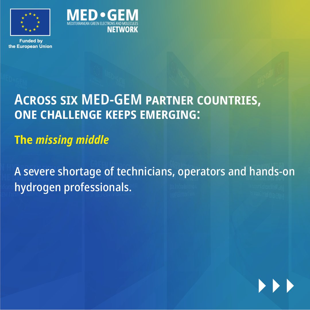 MED-GEM Network tweet media
