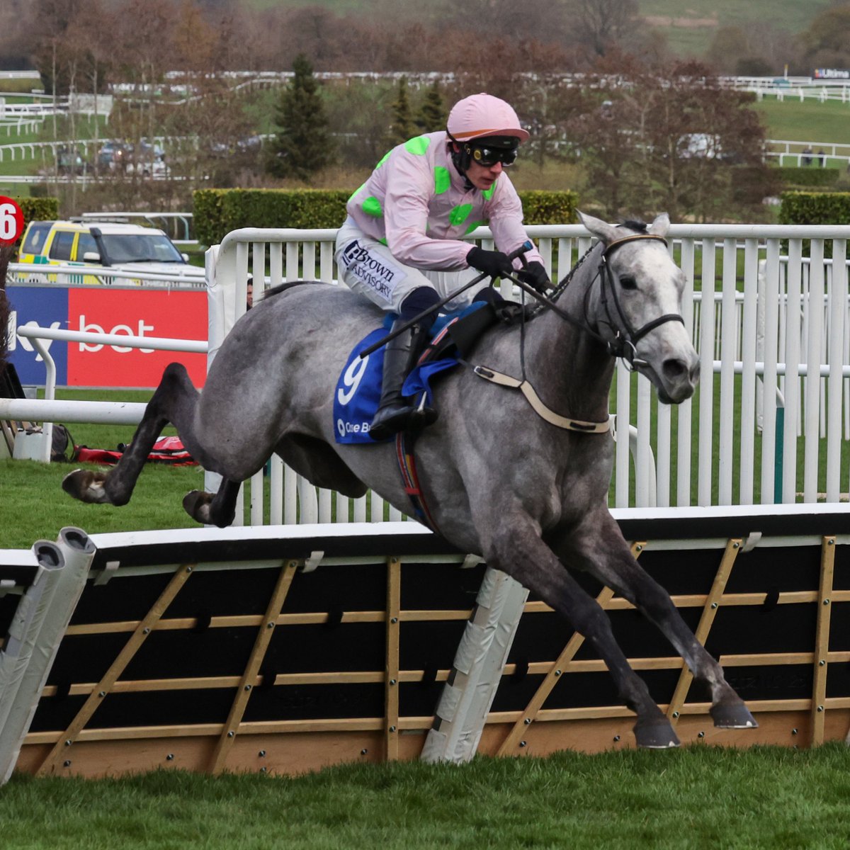 Racing Post tweet media