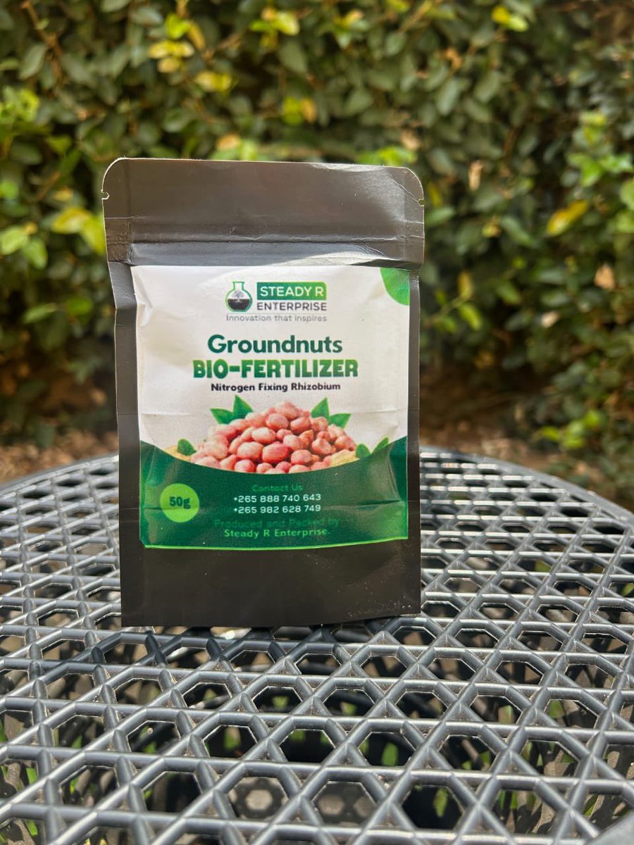 missrachelck's tweet photo. Hello guys my name is Rachel and I am conducting a research on productivity of my inoculant bio fertilizer, I am looking for 15 participants preferably located/ farming in Lilongwe area 25,mpingu or njerwa 
We have 3 different varieties; beans,soya and groundnut. https://t.co/9HtKlH7thk
