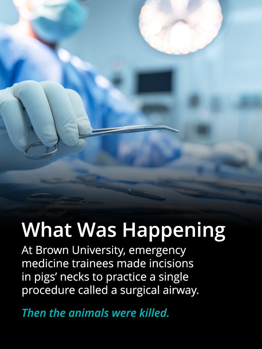 Physicians Committee tweet media